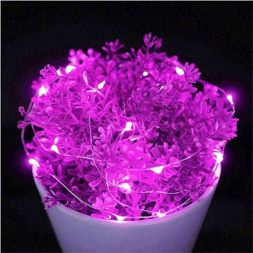 Fairy String Lights – 50 LED 5m Waterproof Battery Operated