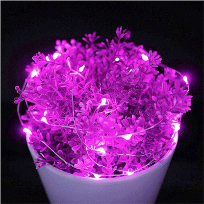 Fairy String Lights – 50 LED 5m Waterproof Battery Operated