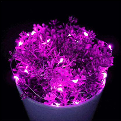 Fairy String Lights – 50 LED 5m Waterproof Battery Operated