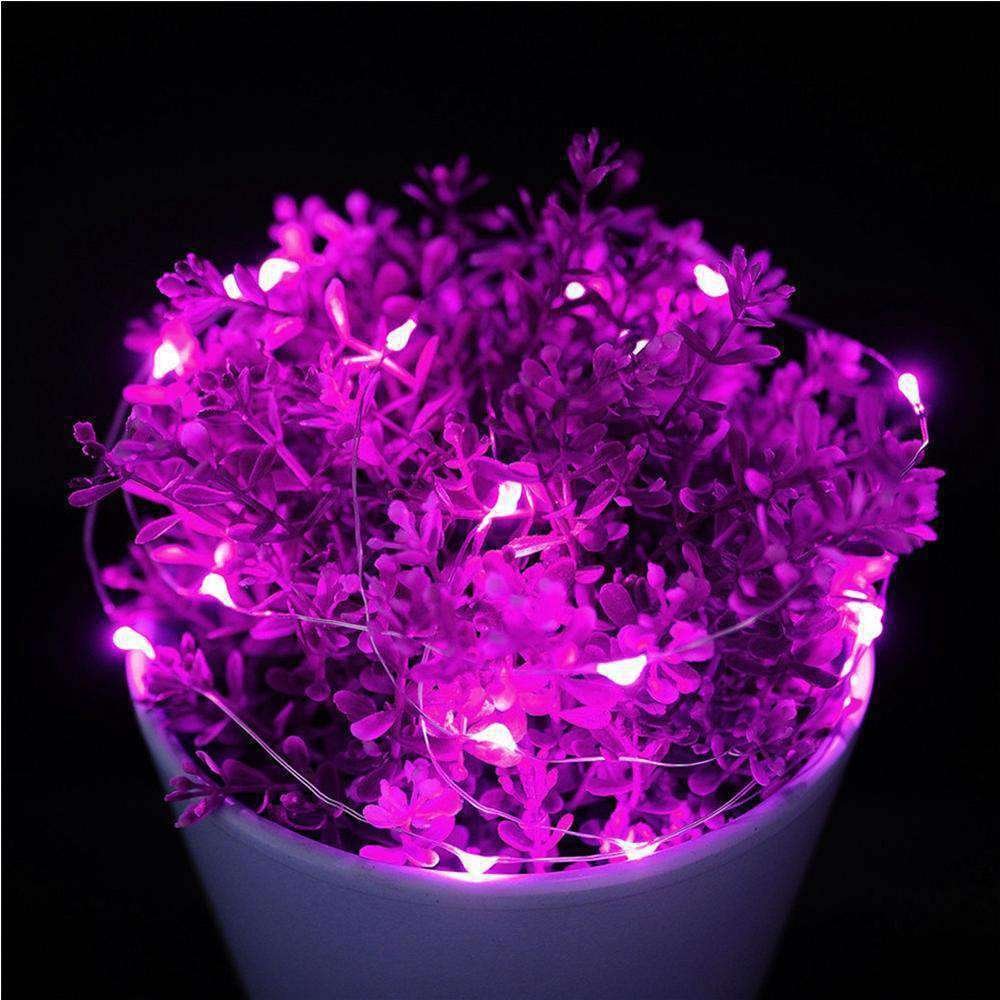 Fairy String Lights – 50 LED 5m Waterproof Battery Operated