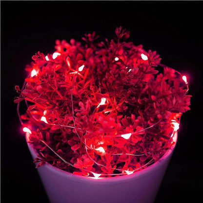 Fairy String Lights – 50 LED 5m Waterproof Battery Operated